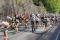 Największy nartorolkowy bieg świata - Alliansloppet - już 27 sierpnia