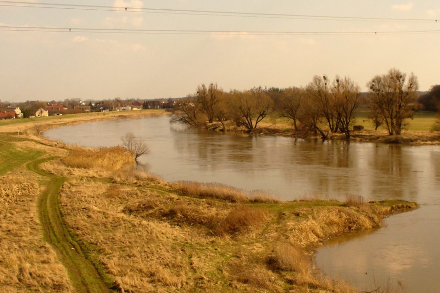 Ładne widoki na naturę