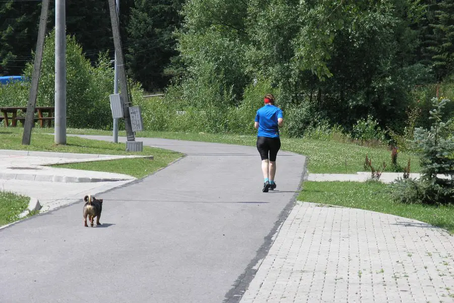 Z trasy korzystają nie tylko nartorolkarze