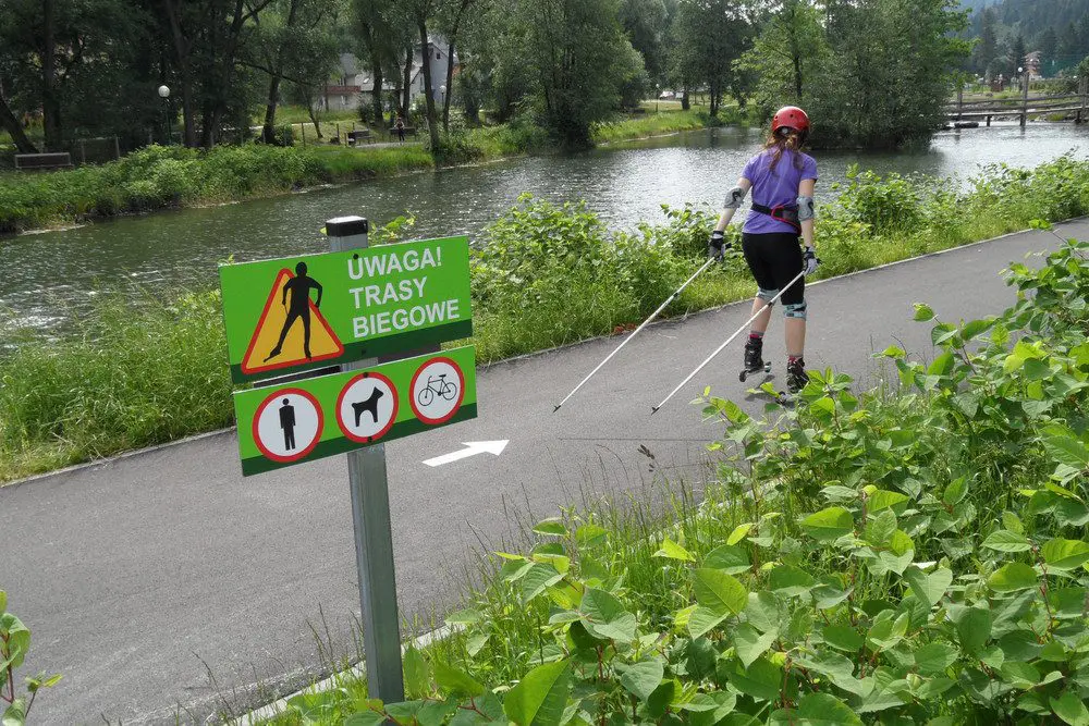 Tabliczki wskazują kierunek ruchu i zakazują wstępu pieszym