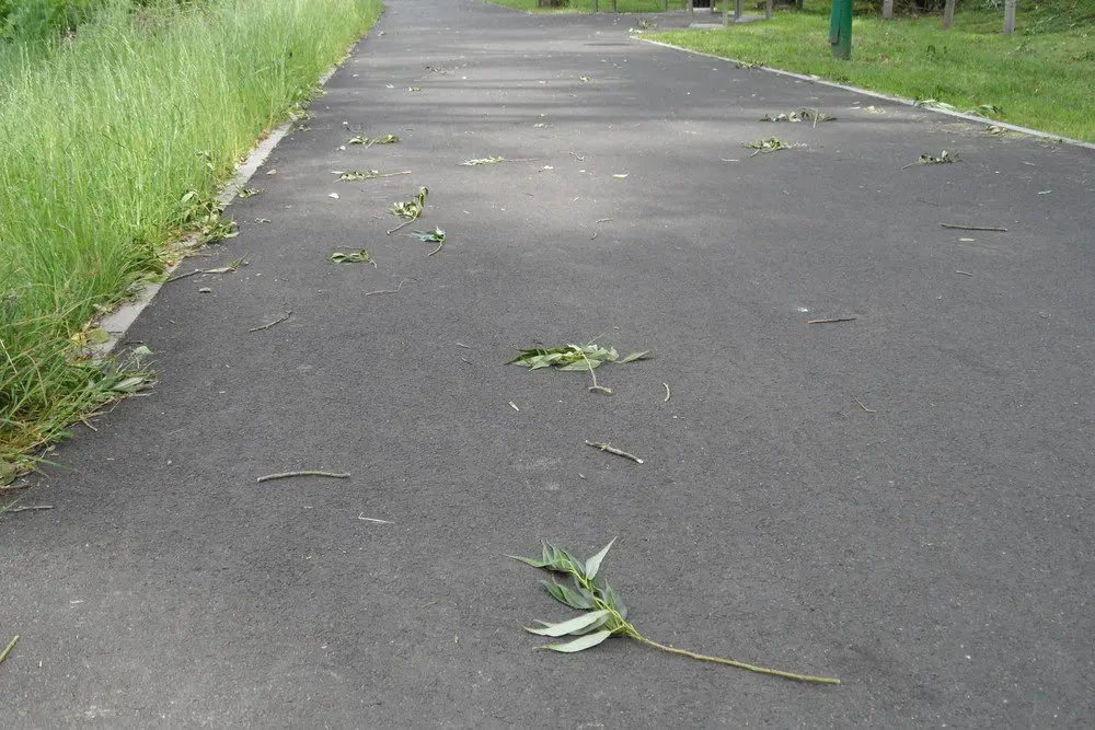 Na asfalcie mogą leżeć gałązki