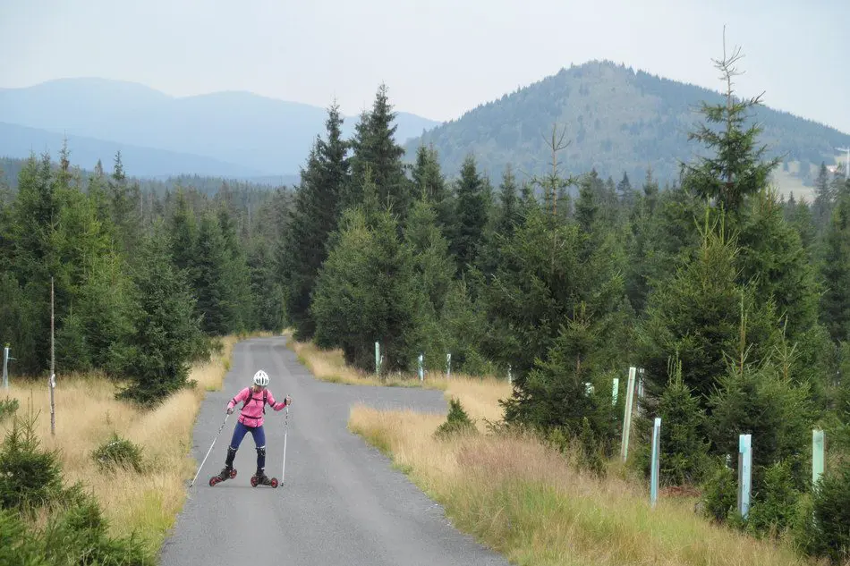 Wakacyjny Kurs na Rolksach Terenowych - sierpień 2014