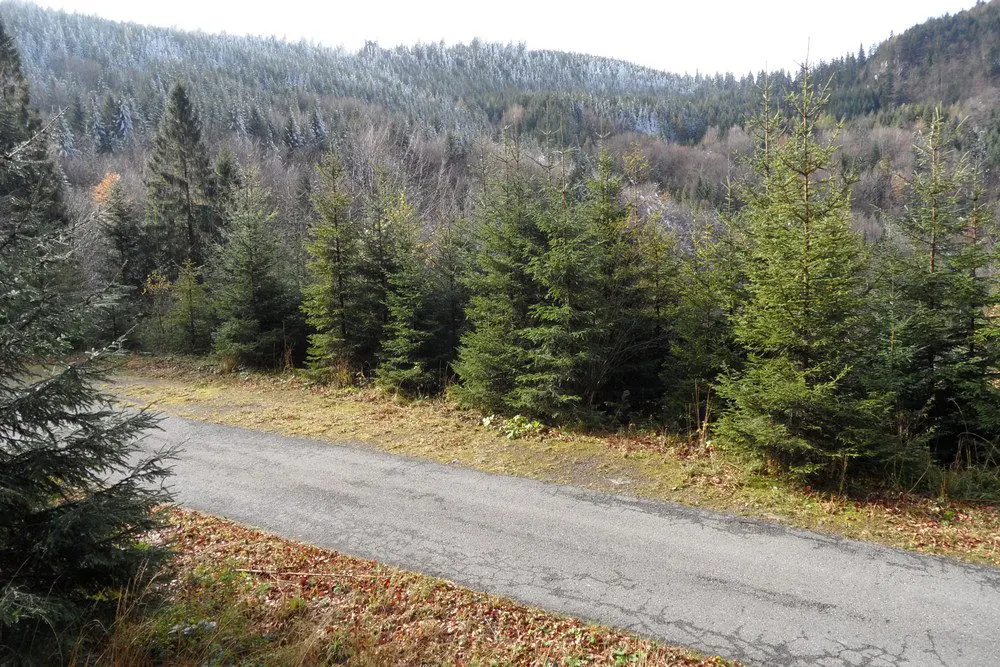 Beskid Sądecki