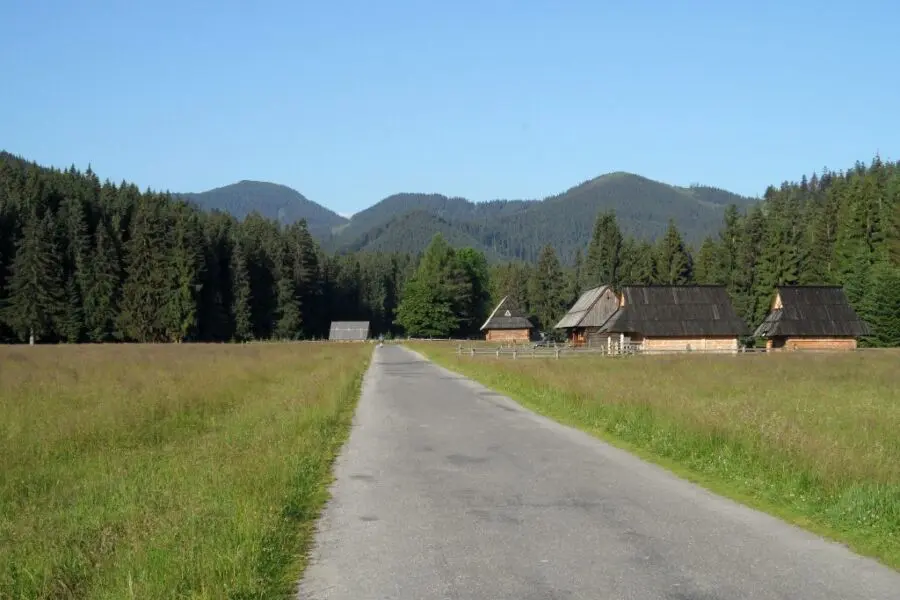 Na rolkach terenowych w Tatrach w Dolinie Chochołowskiej