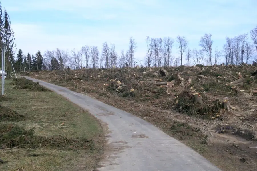 Zniszczony przez huragan tor nartorolkowy na Jamrozowej Polanie [FOTORELACJA]