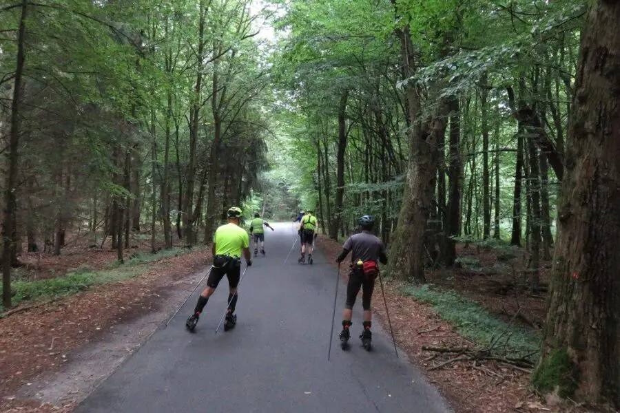 Od „małej wycieczki” do 60 km, czyli Skike-Team-Rajd w Dolinie Baryczy